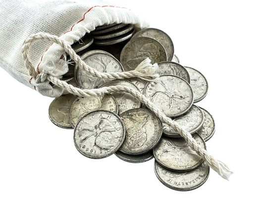10 ozt SHTF Fractional Silver Quarters Bag 25¢