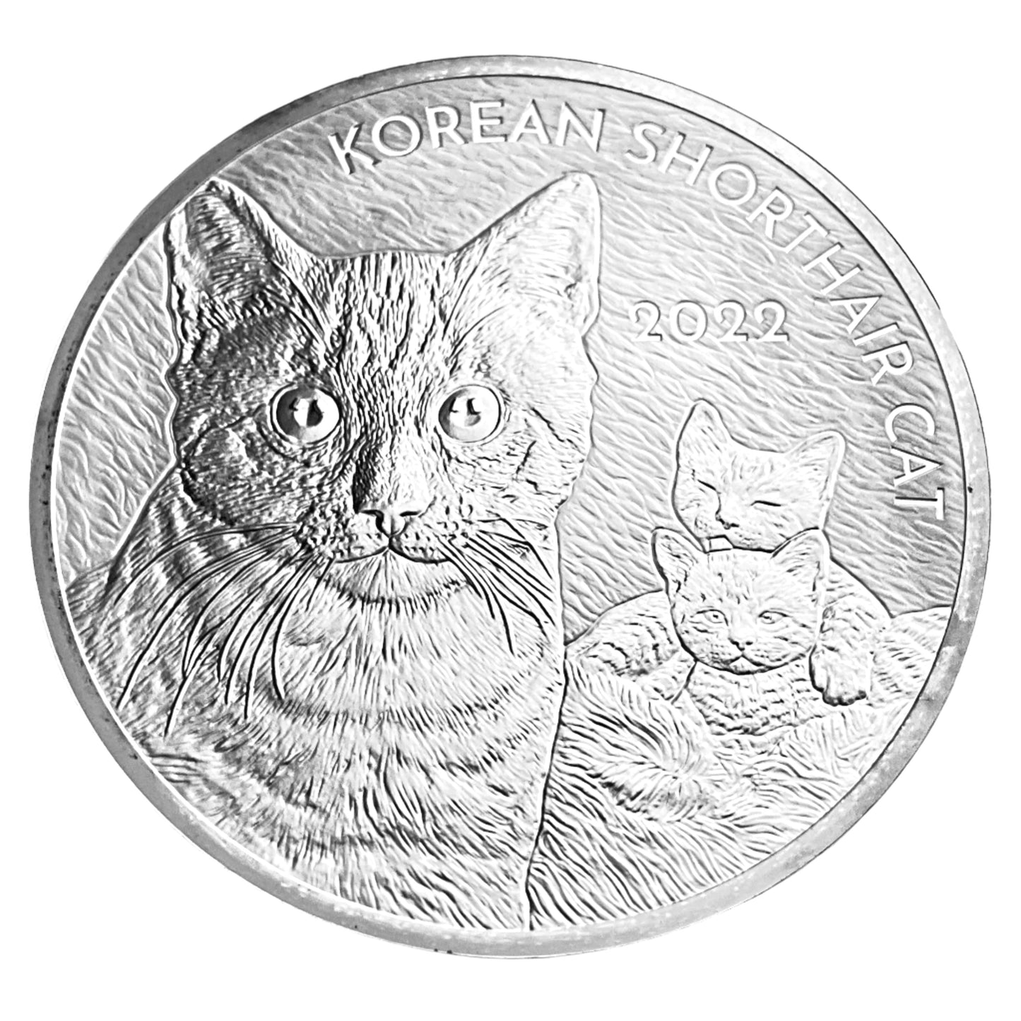 1 ozt Korean Short Hair Cat 3D 999 Round