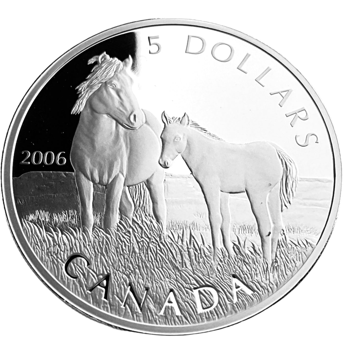 .900 ozt Sable Island Horse Foal 9999 $5