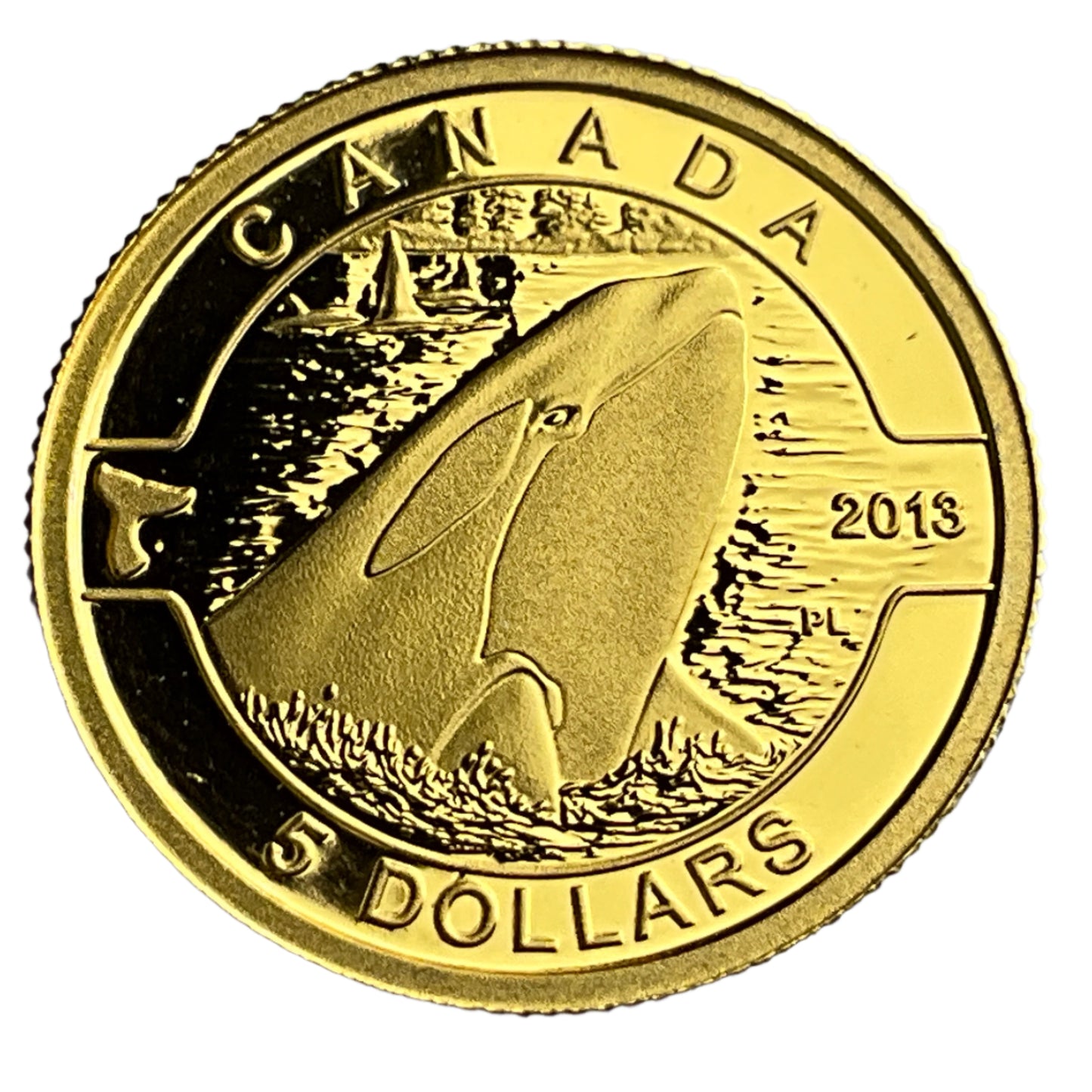 .100 ozt Orca 9999 Gold RCM $5 Coin