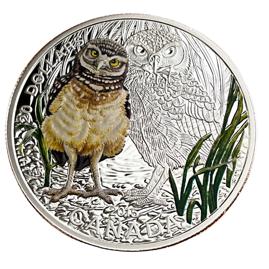 1.01 ozt Burrowing Owl 9999 Silver $20