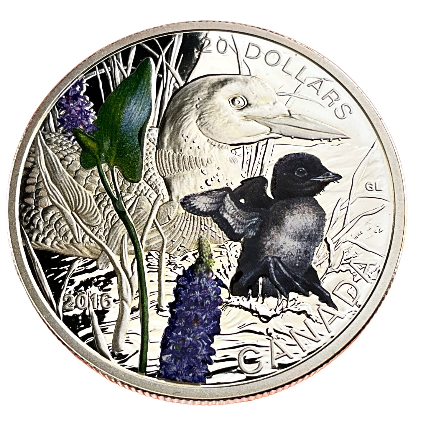 1.01 ozt Common Loon 9999 Silver Coin