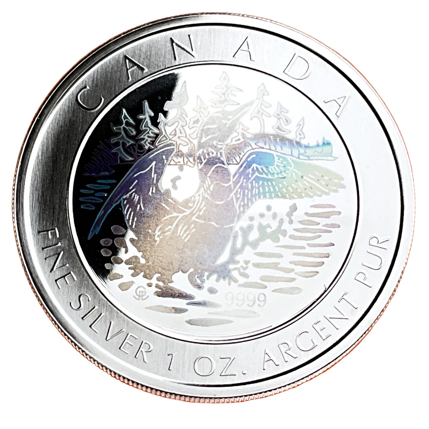 1 ozt Hologram Loon 9999 Silver $5 Coin