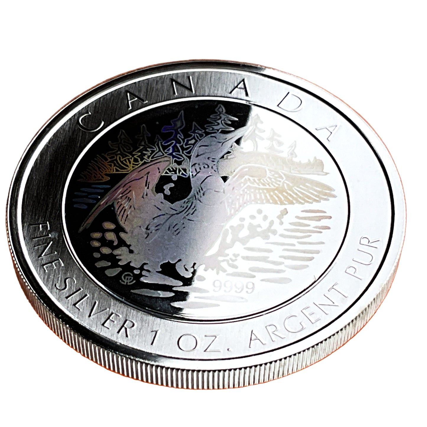 1 ozt Hologram Loon 9999 Silver $5 Coin