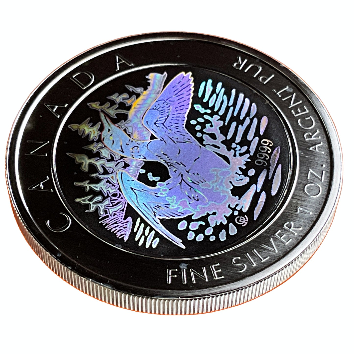 1 ozt Hologram Loon 9999 Silver $5 Coin