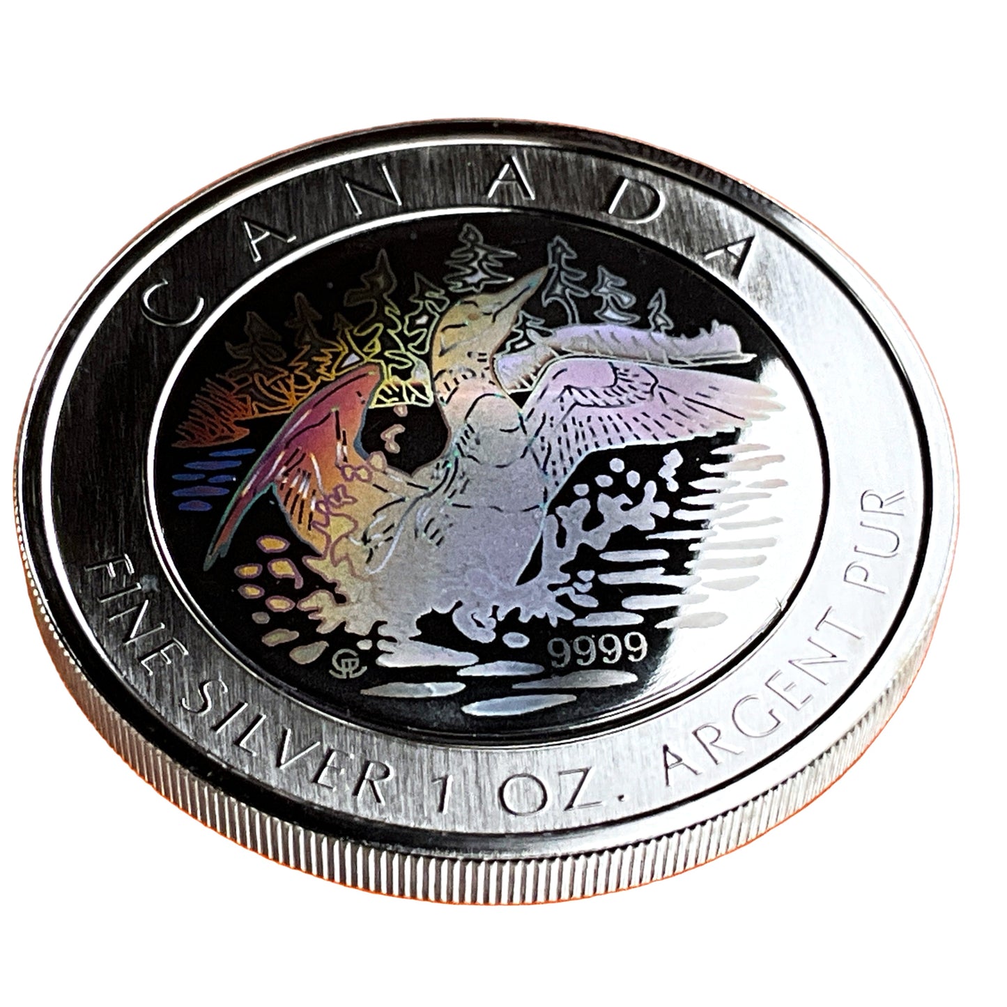 1 ozt Hologram Loon 9999 Silver $5 Coin