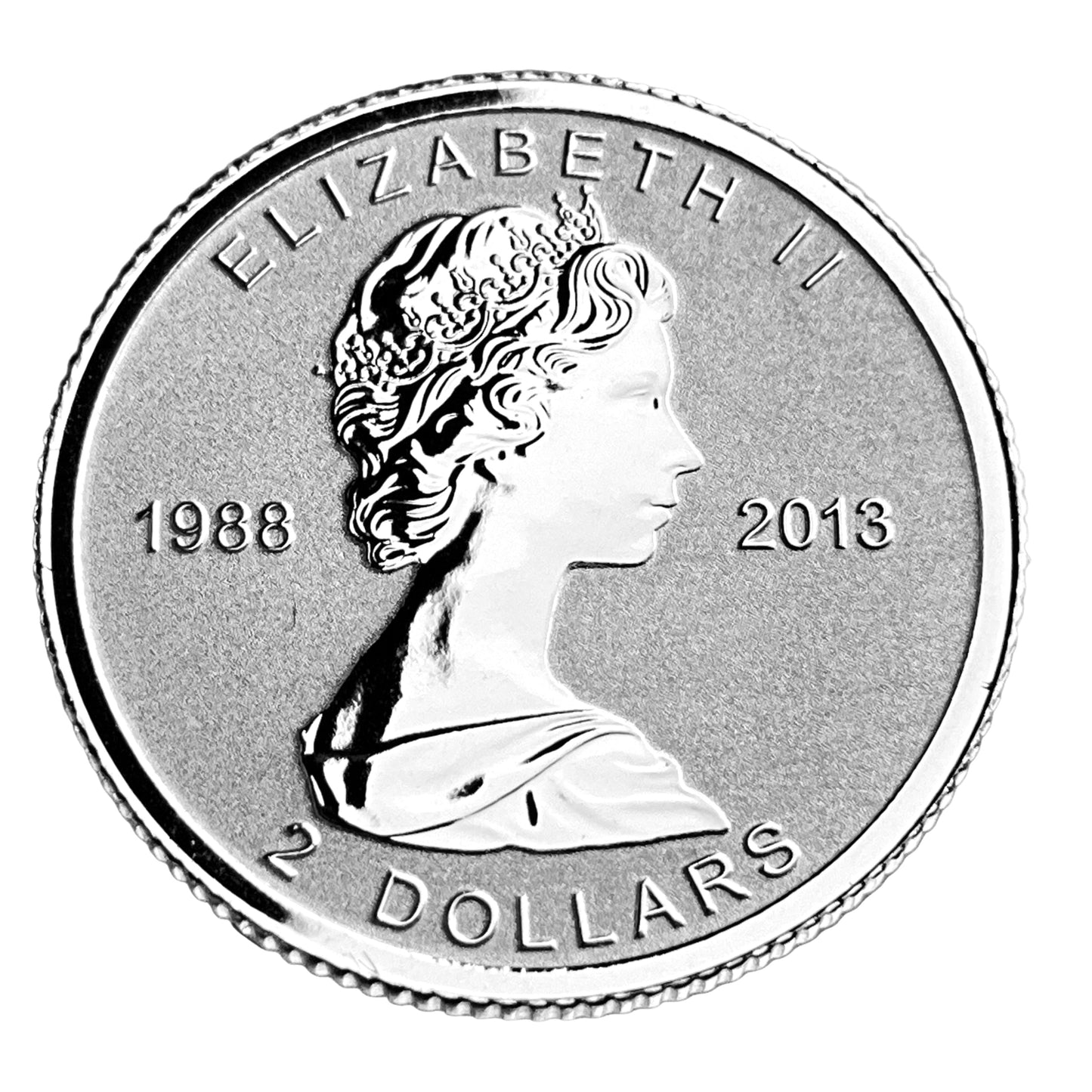 1.9 ozt 2013 Maple Leaf Fractional 9999 Set
