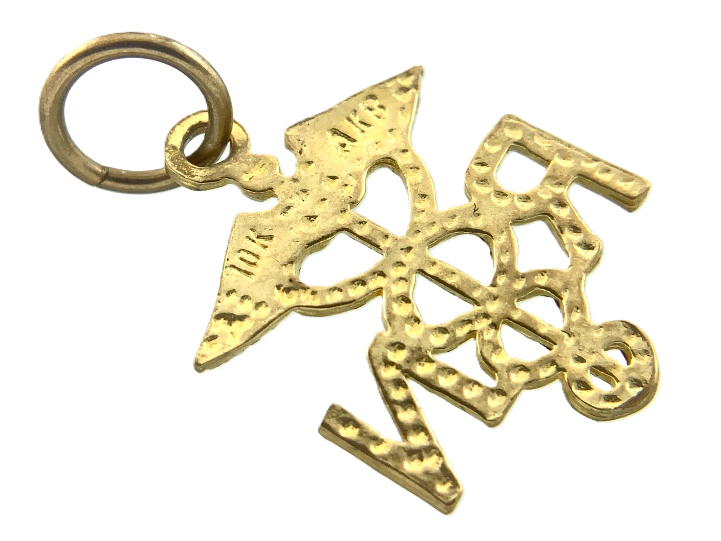 10K Yellow Gold Caduceus Pendant RN Registered Nurse Charm AU085