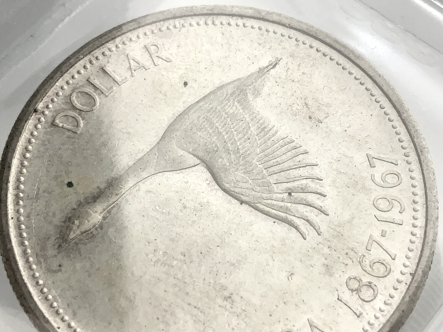 .600 ozt 1967 Dollar Graded MS-65 Silver $1