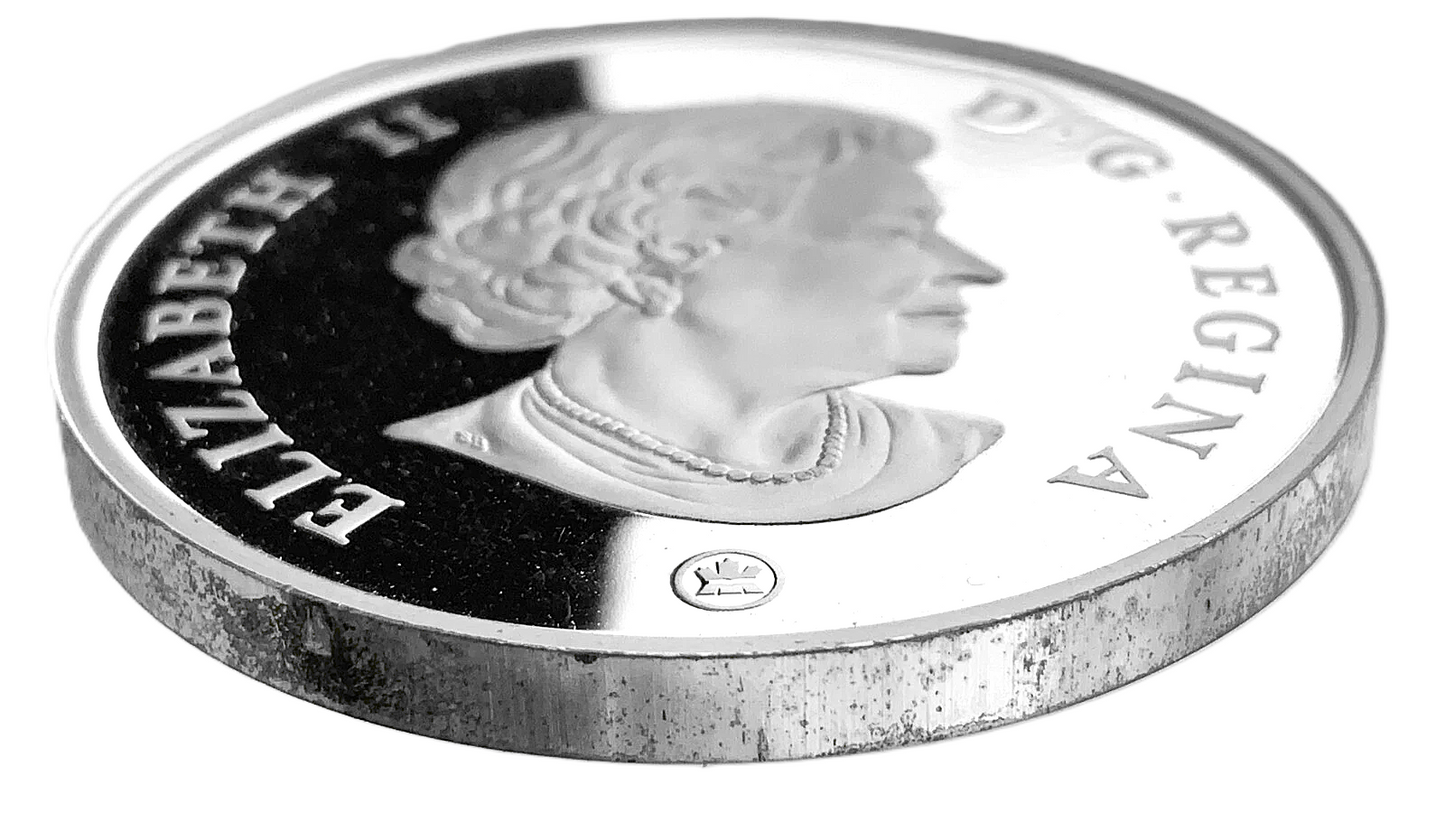 .89 ozt Canada Elizabeth II Silver Coin $15