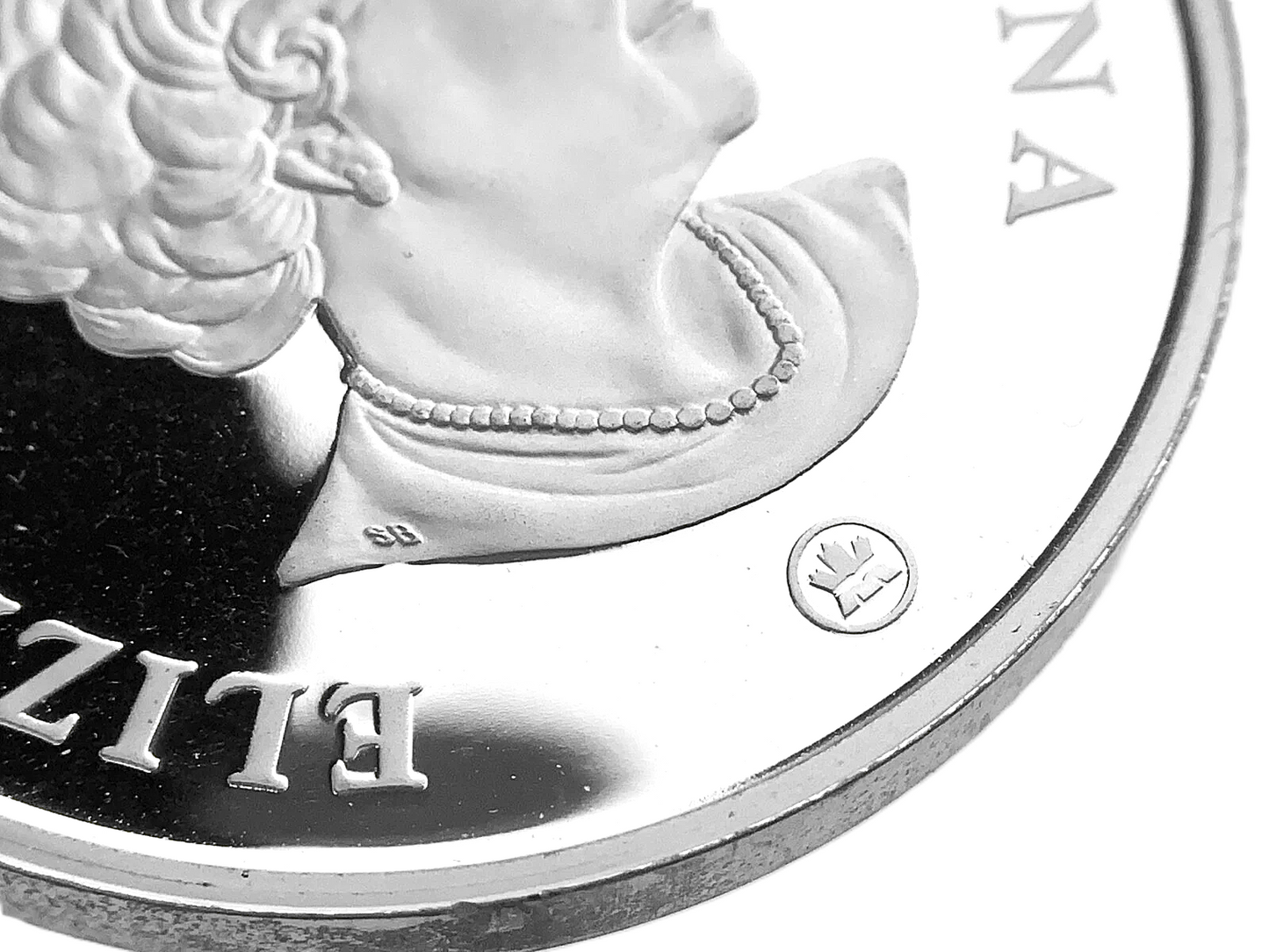 .89 ozt Canada Elizabeth II Silver Coin $15