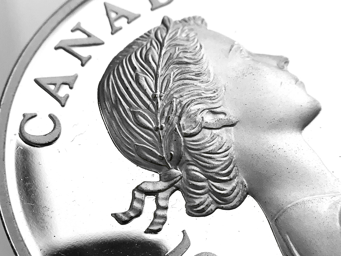 .89 ozt Canada Elizabeth II Silver Coin $15