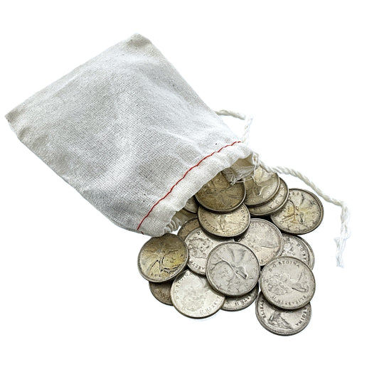 10 ozt SHTF Silver Quarters Money Bag 25¢