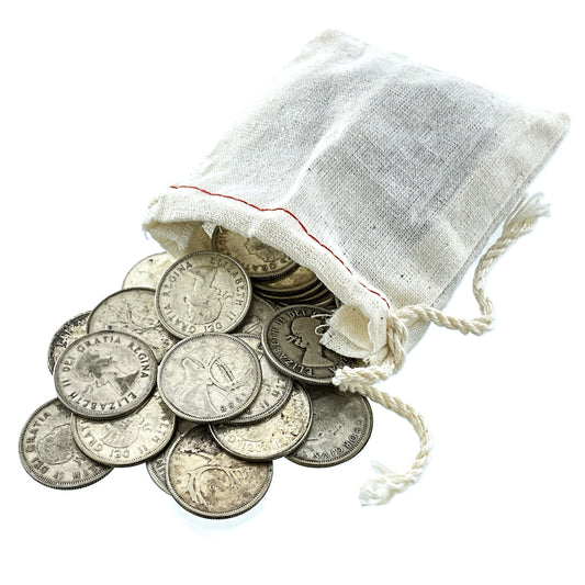 10 ozt SHTF Silver Young Queen Money Bag 25¢