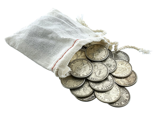 10 ozt SHTF Silver Young Queen Money Bag 25¢