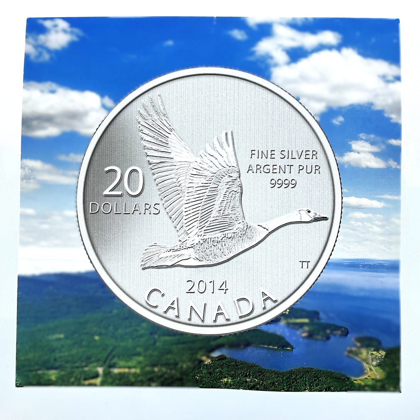 .250 ozt Canada Goose 9999 Silver $20 Coin