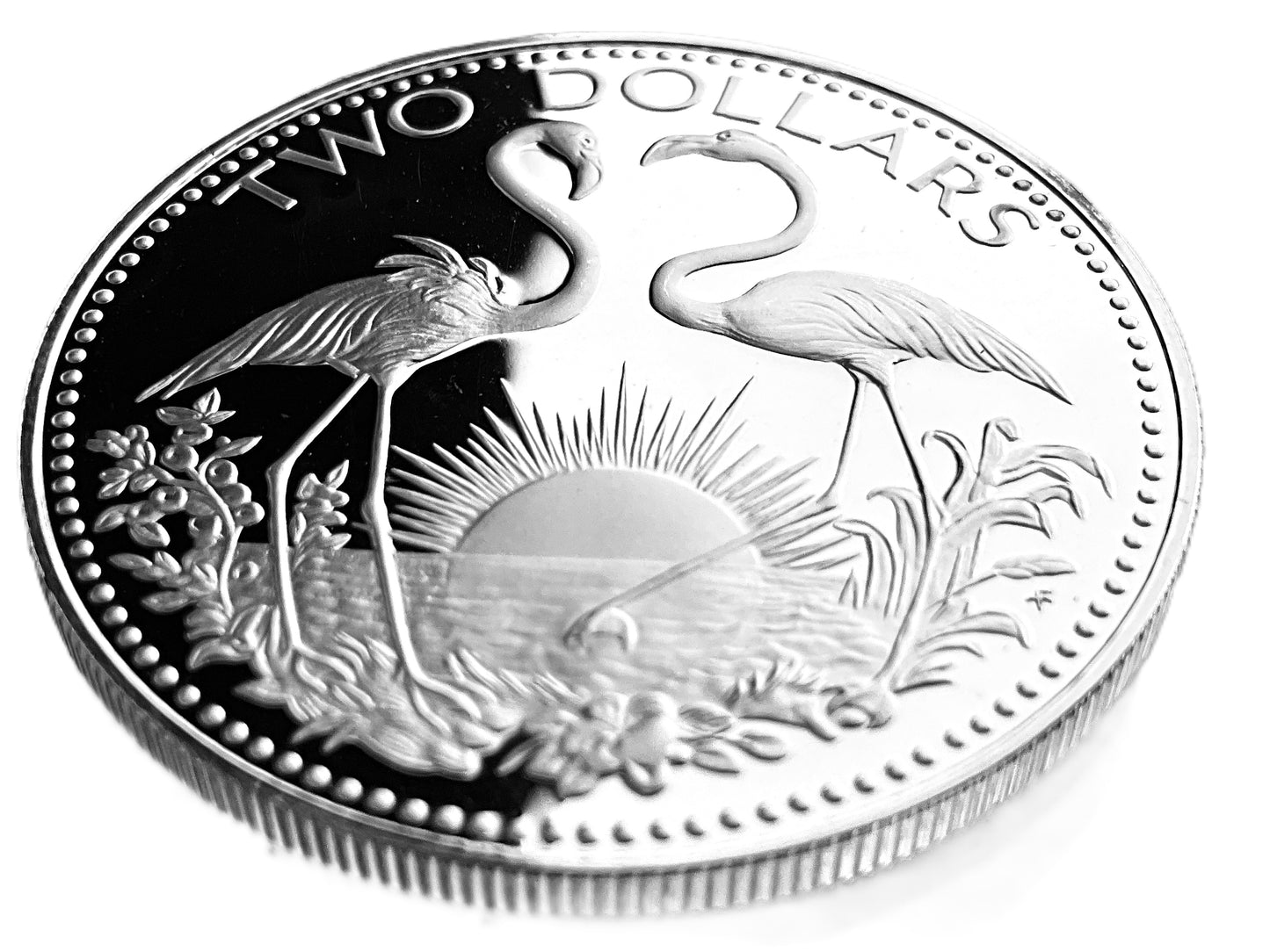 .896 ozt Bahamas Flamingos Silver Coin $2