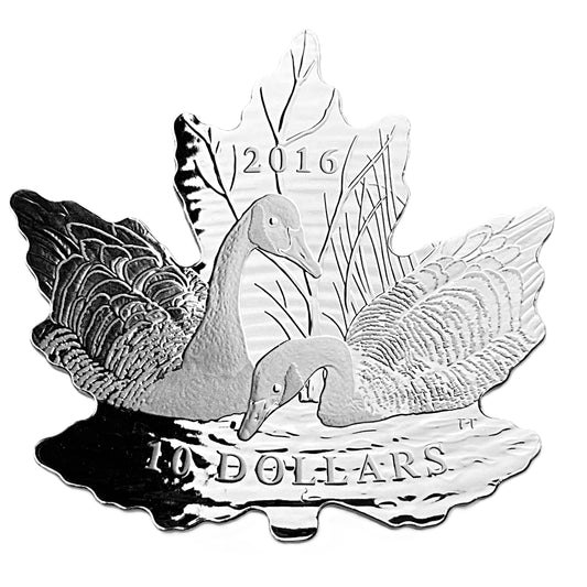 .504 ozt Maple Leaf Silhouette 9999 $10