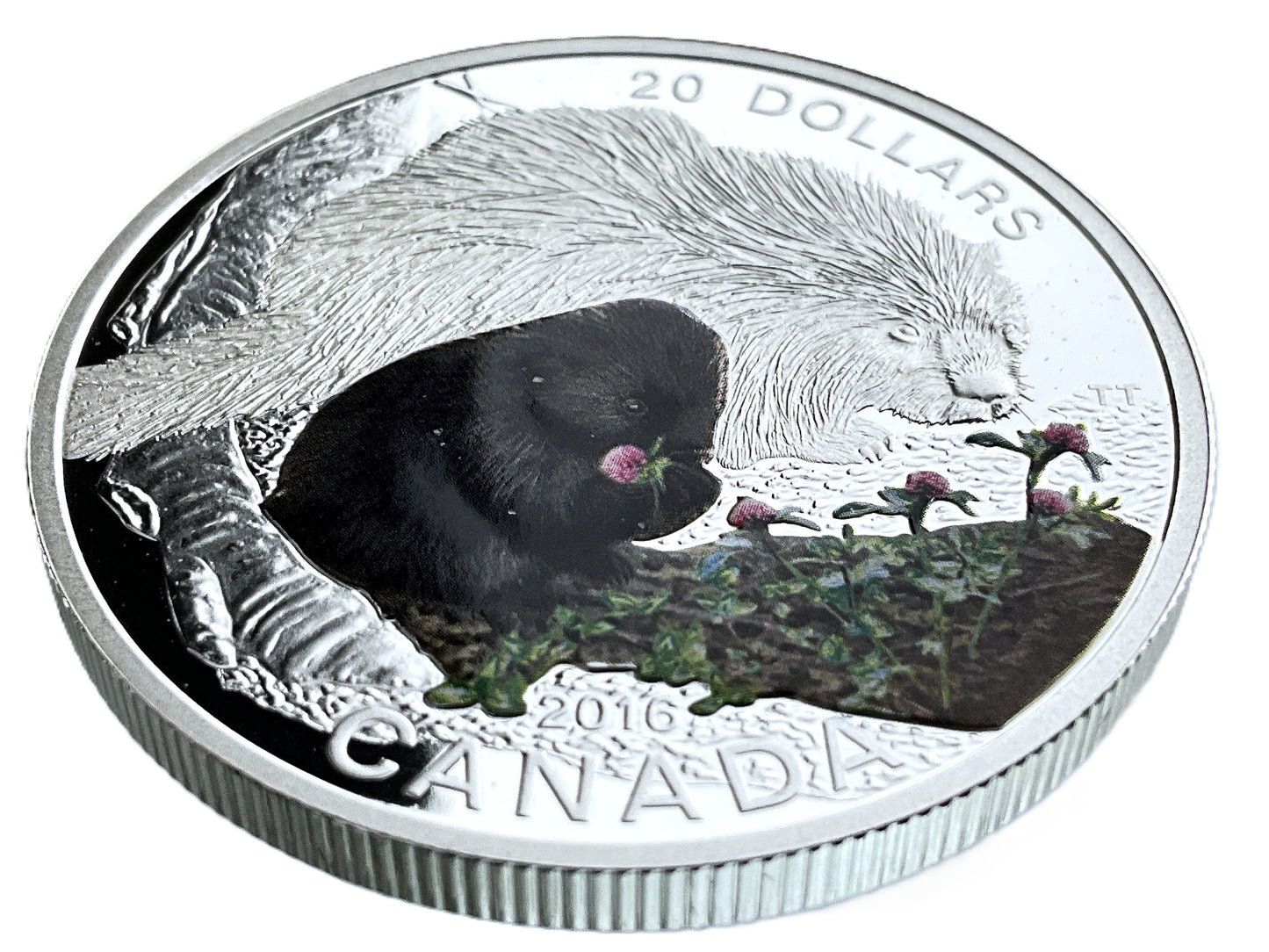 1.01 ozt Baby Porcupine 9999 Silver $20