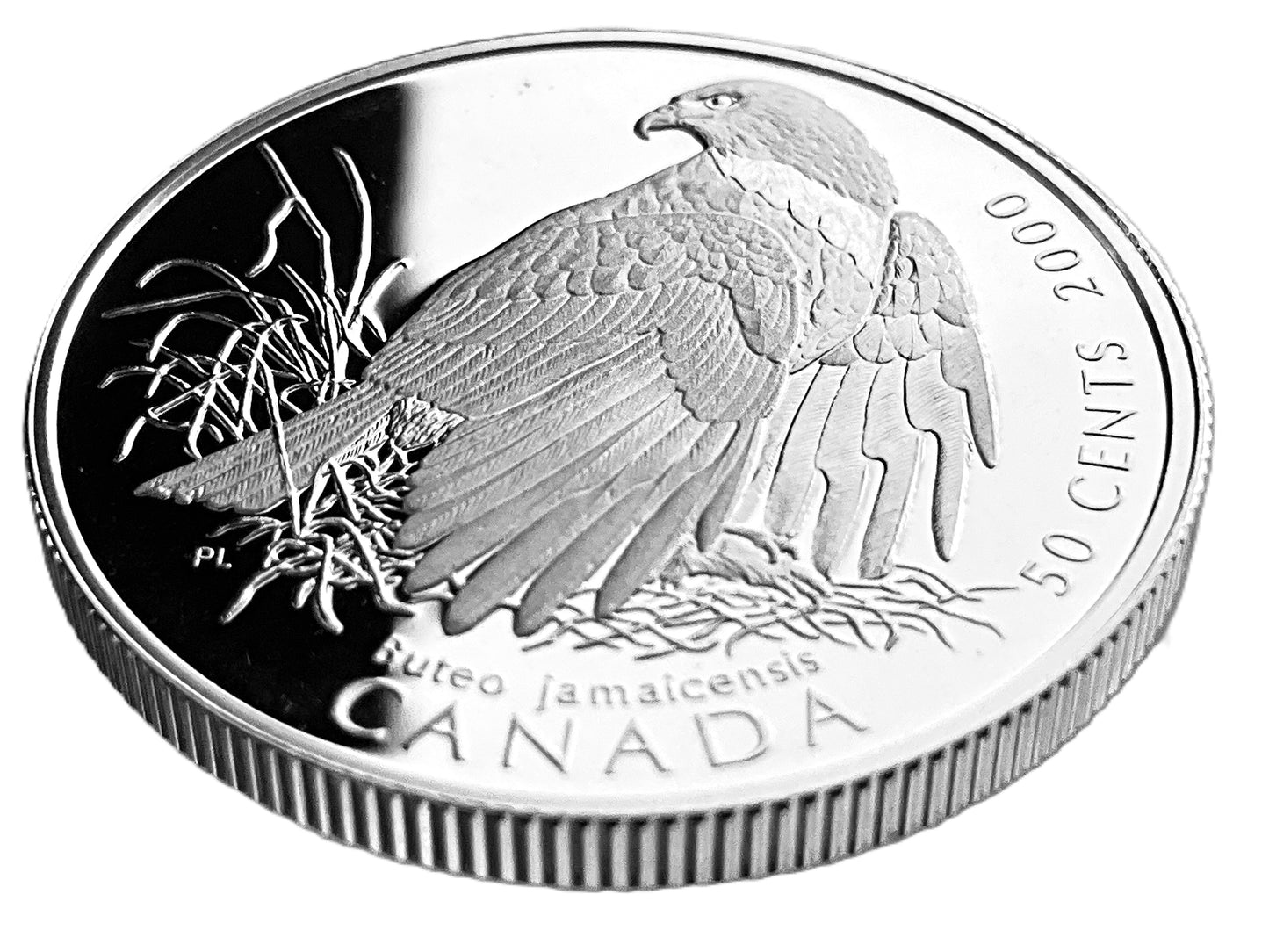 .277 ozt Red-Tailed Hawk Nature Silver 50¢