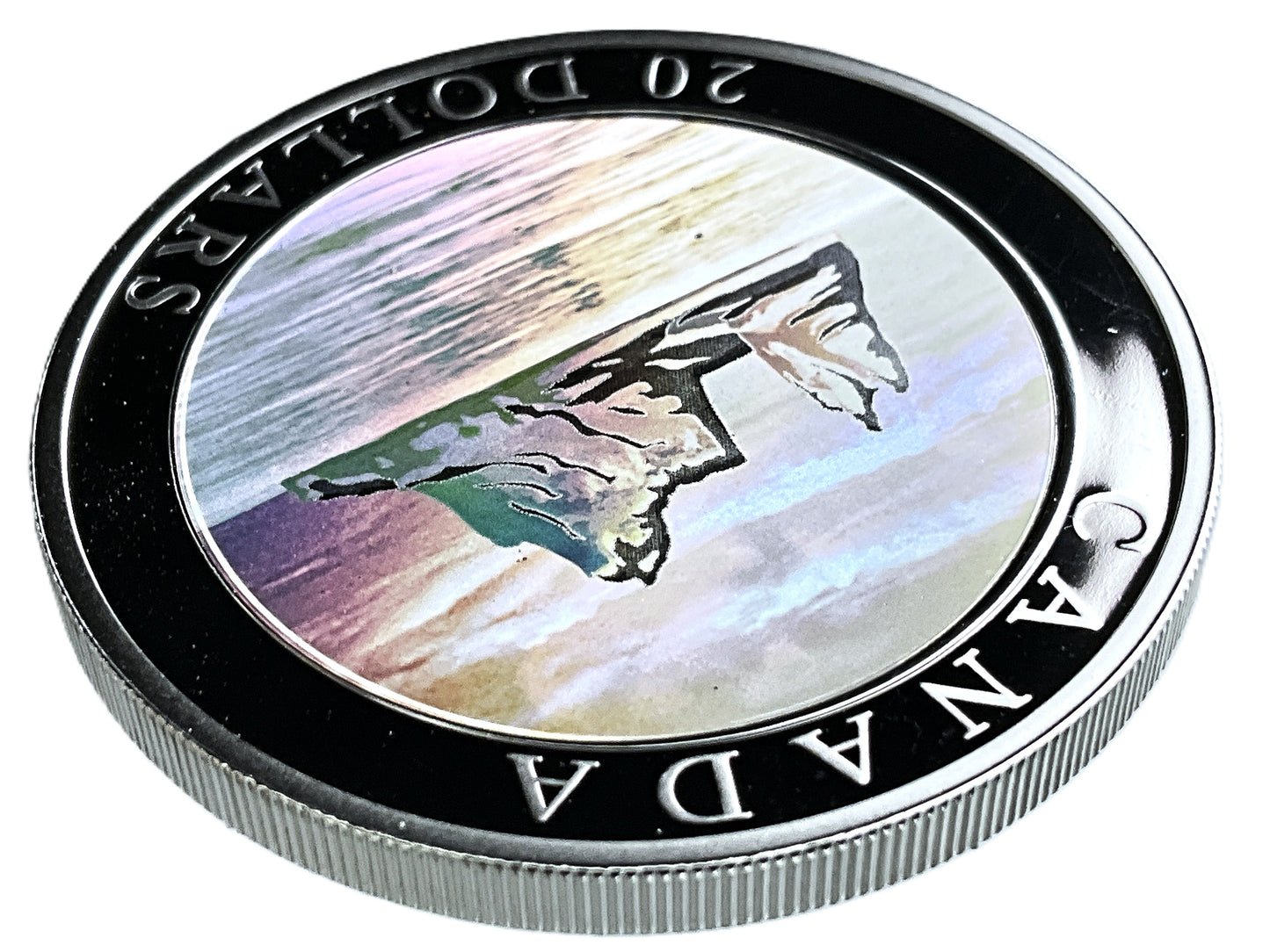 1.01 ozt Icebergs Holographic 9999 Silver $20
