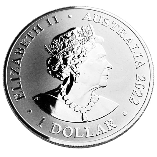 1 ozt Dusky Dolphin 999 Silver $1 Coin