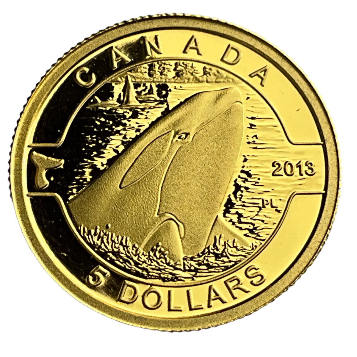 .100 ozt Orca 9999 Gold RCM $5 Coin – Northshore Gold and Silver