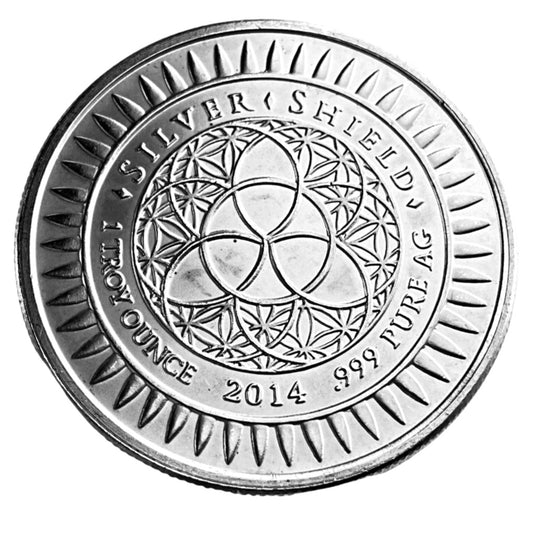 1 ozt Too Big To Fail 999 Silver Round