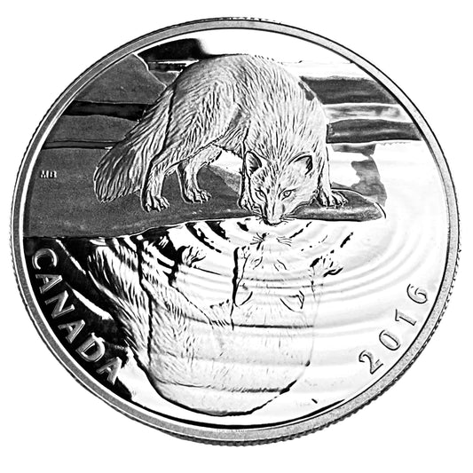 .510 ozt Arctic Fox Reflection 9999 Coin