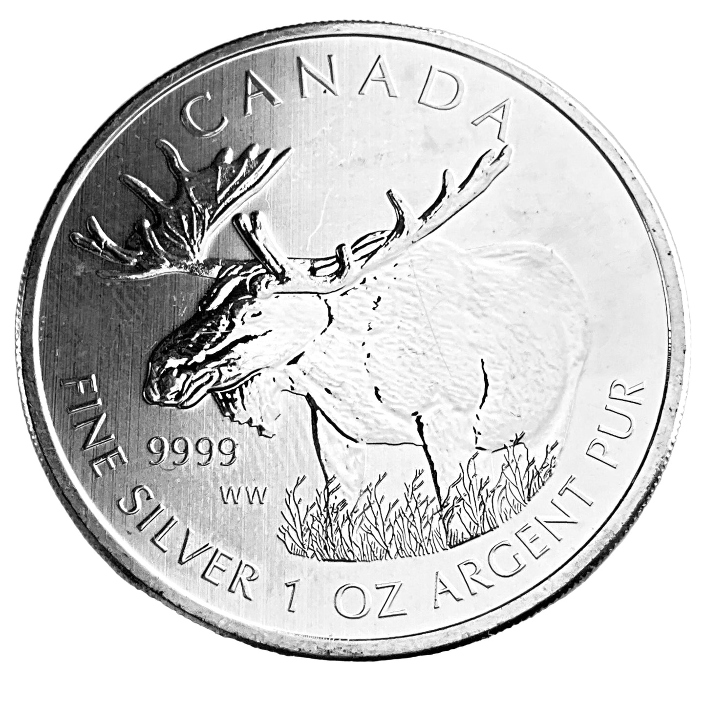 1 ozt Moose 9999 Silver $5 RCM Coin