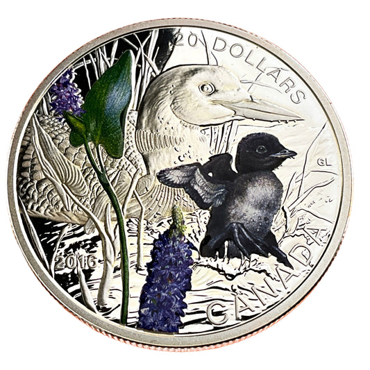 1.01 ozt Common Loon 9999 Silver Coin