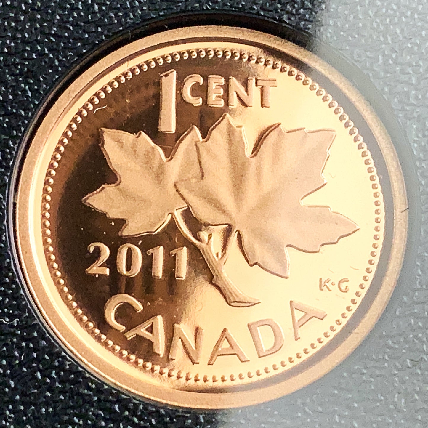 1.69 ozt 2011 100th Parks Loon RCM Proof Silver Set