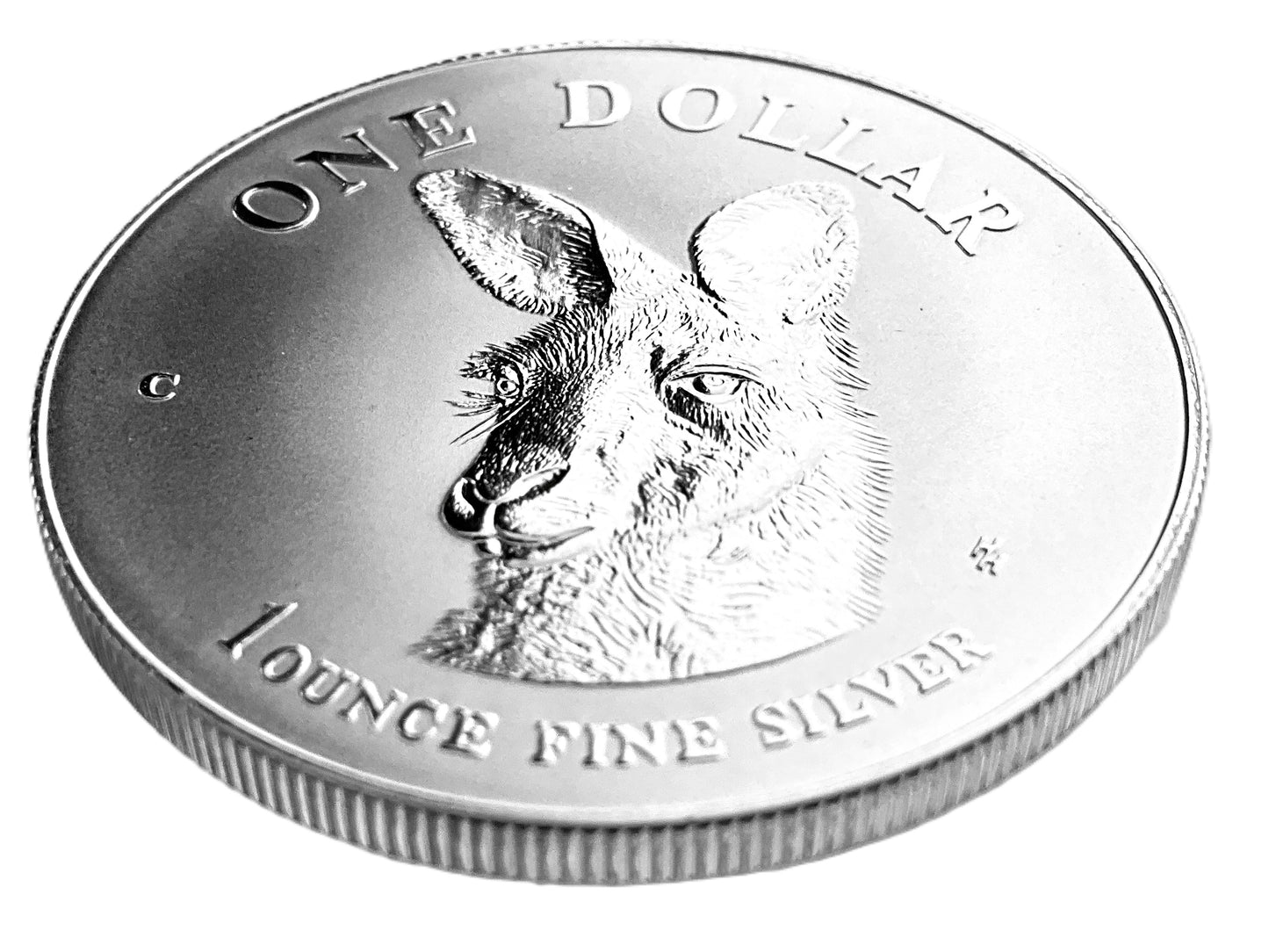 1 ozt Australia Grey Kangaroo 999 Silver $1