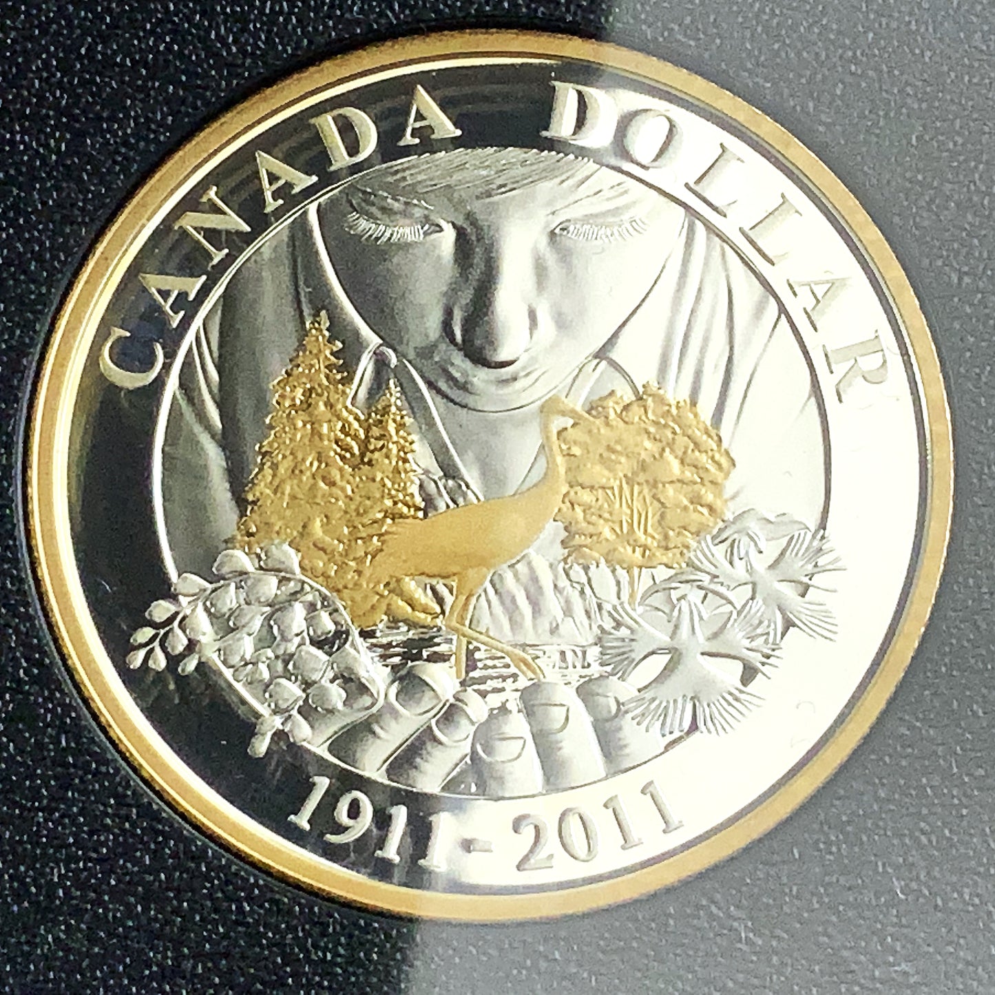 1.69 ozt 2011 100th Parks Loon RCM Proof Silver Set