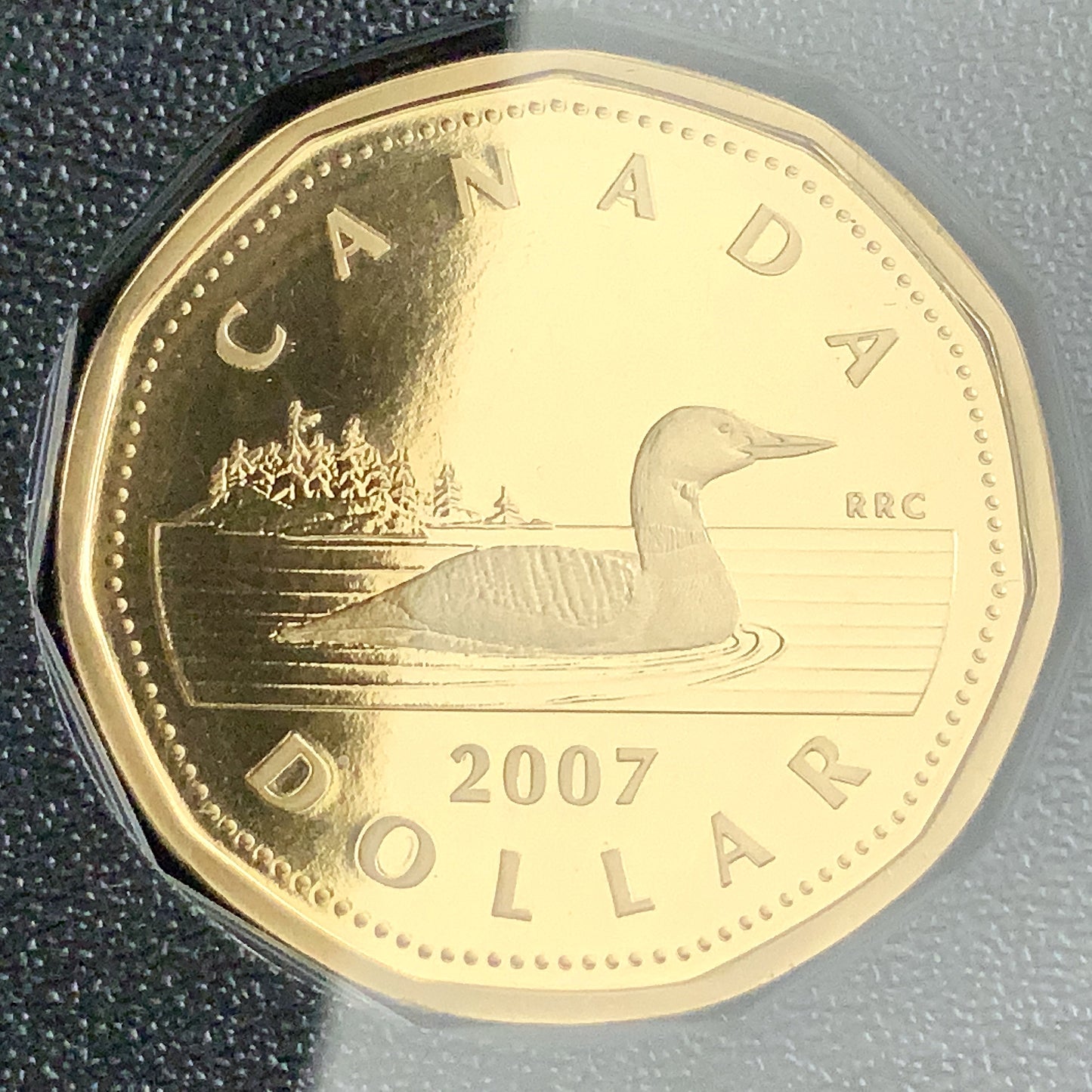 1.69 ozt 2007 Thayendanegea Loon RCM Proof Silver Set
