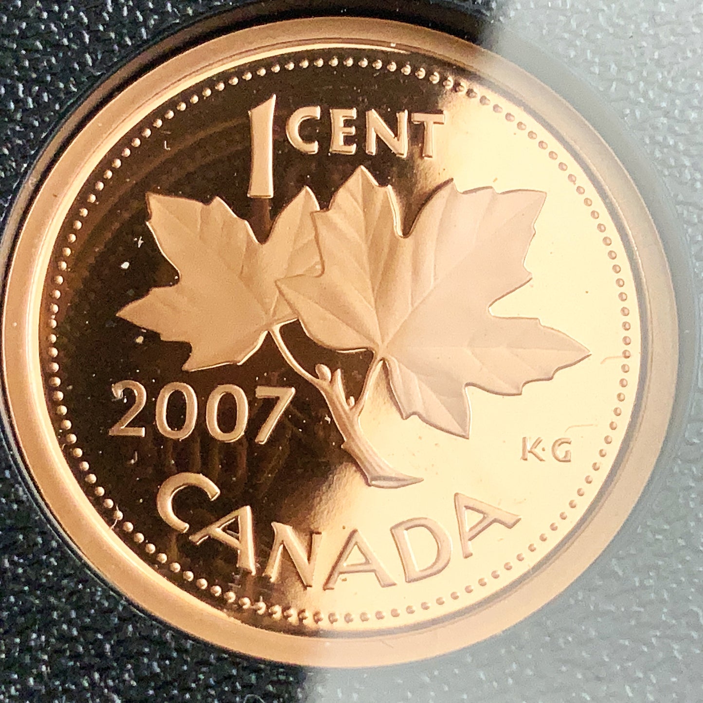 1.69 ozt 2007 Thayendanegea Loon RCM Proof Silver Set