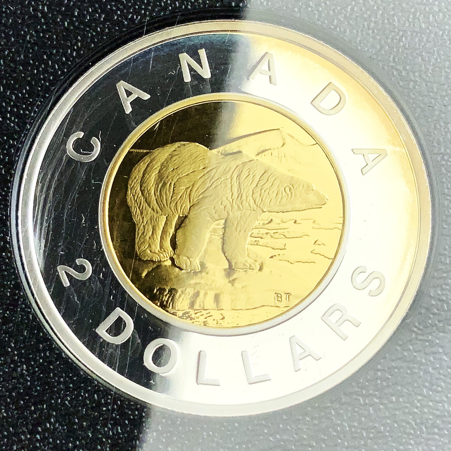 1.69 ozt 2007 Thayendanegea Loon RCM Proof Silver Set