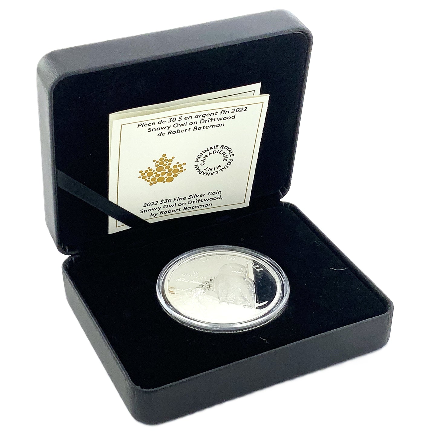 2 ozt Snowy Owl on Driftwood 9999 Silver $30