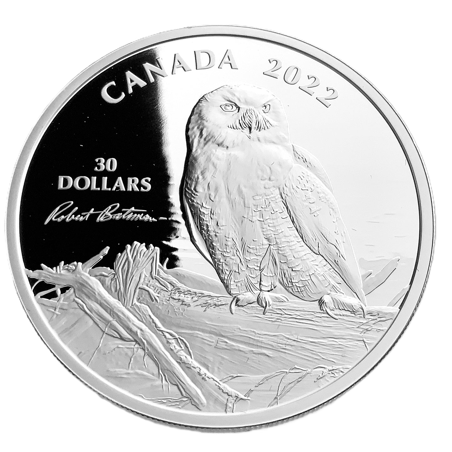 2 ozt Snowy Owl on Driftwood 9999 Silver $30