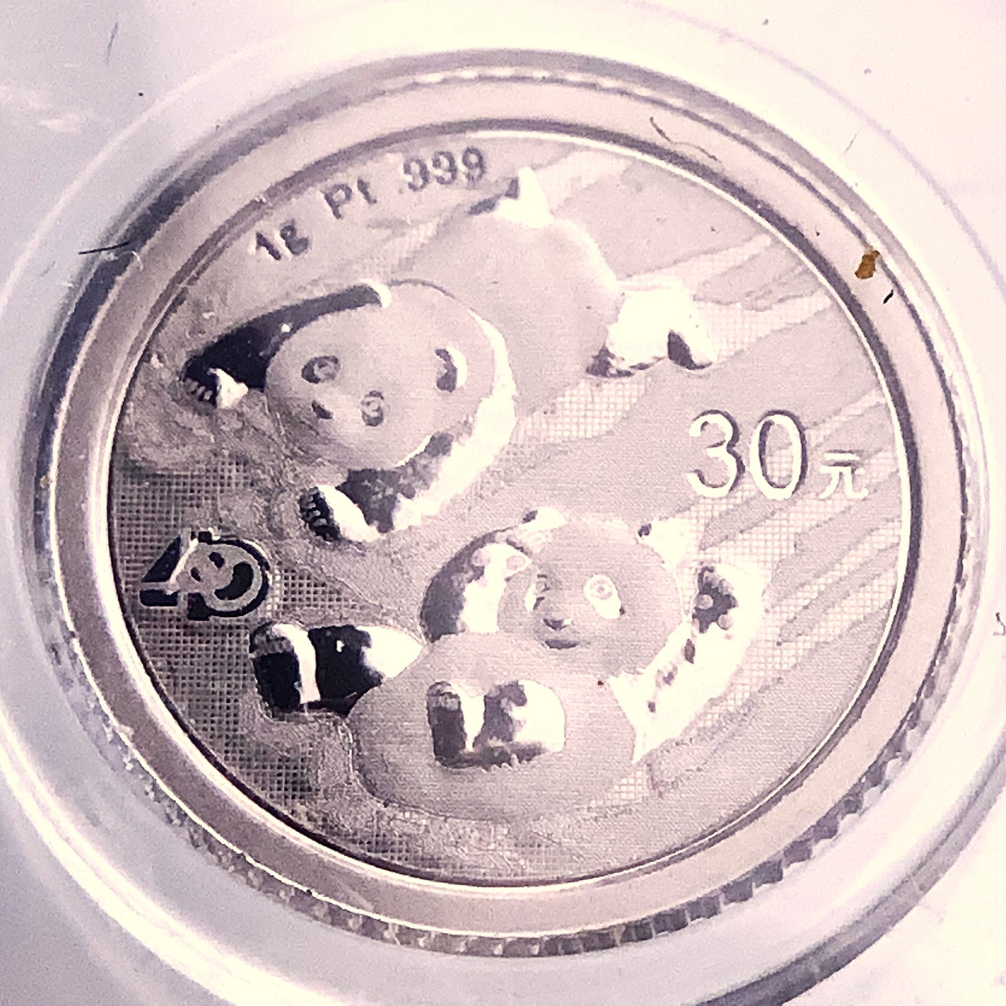 1 gram 2022 Chinese Panda Platinum 999 Coin